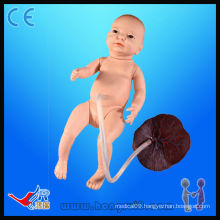 HR/H132 painted advanced Neonatal Umbilical Cord nursing model,baby nursing model